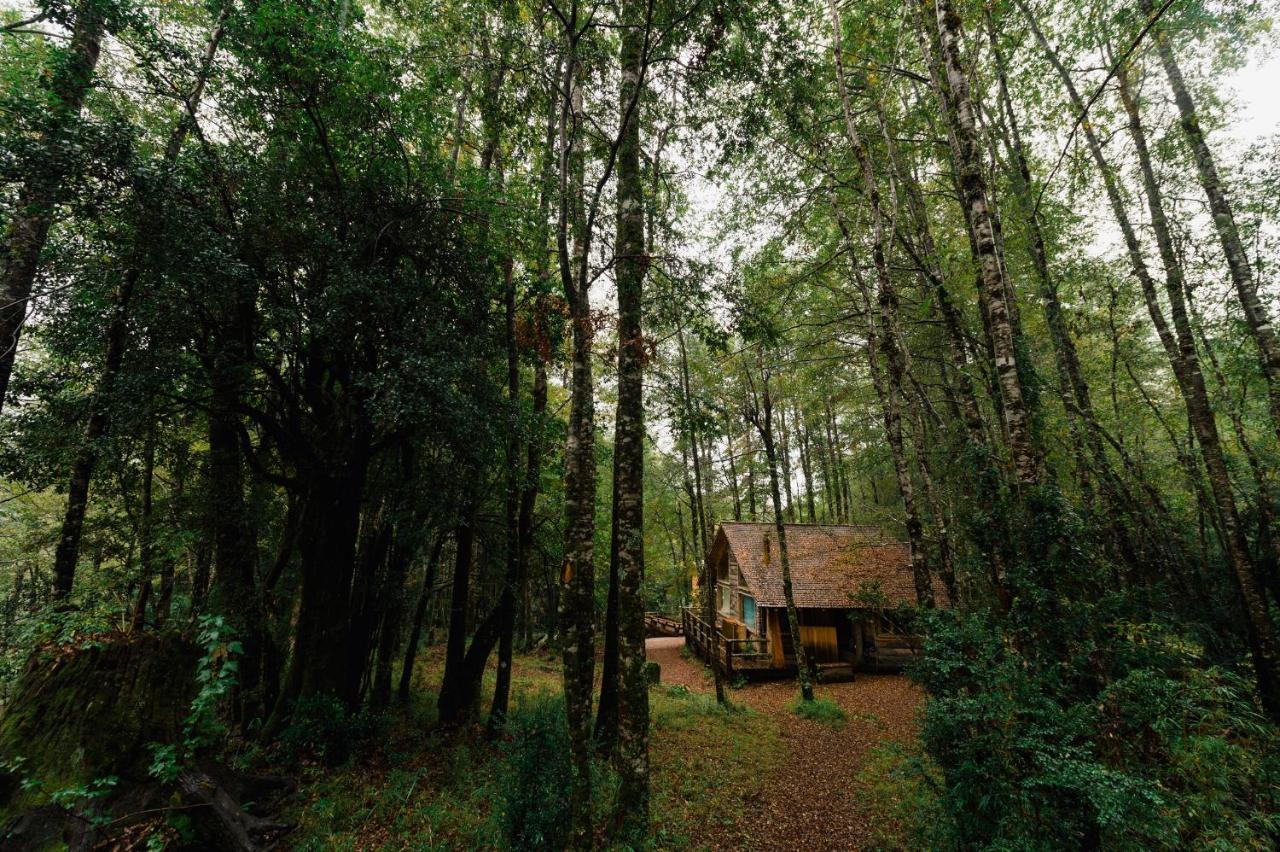 Huilo Huilo Cabanas Del Bosque ปูแอร์โตฟุย ห้อง รูปภาพ