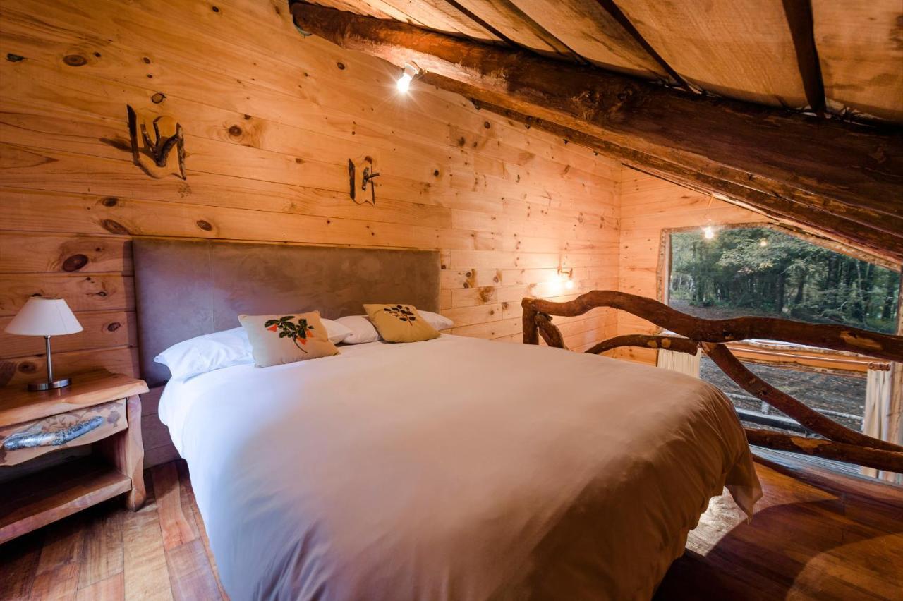 Huilo Huilo Cabanas Del Bosque ปูแอร์โตฟุย ห้อง รูปภาพ